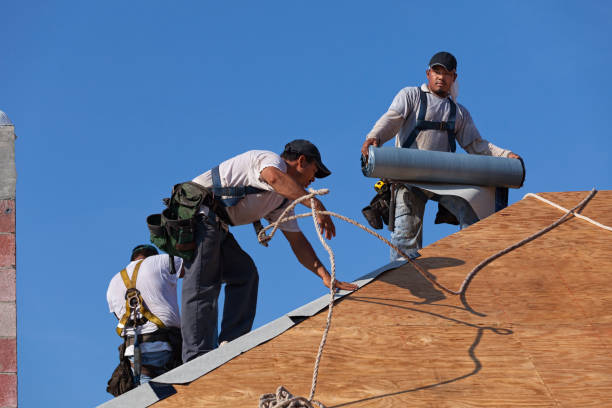 Quick and Trustworthy Emergency Roof Repair Services in Van Meter, IA