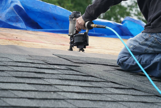 Best Flat Roof Repair Services  in Van Meter, IA